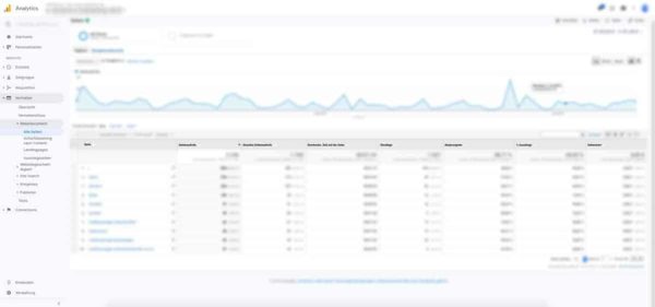 Google Analytics Verhalten